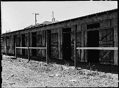 Dorothea Lange: Hestestalde i San Bruno, Californien blev anvendt som boliger for de internerede japanere 1942