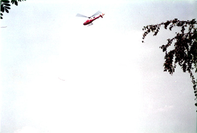 Grethe Andersen: The Dragon and the police. Greenham Common June 1983.