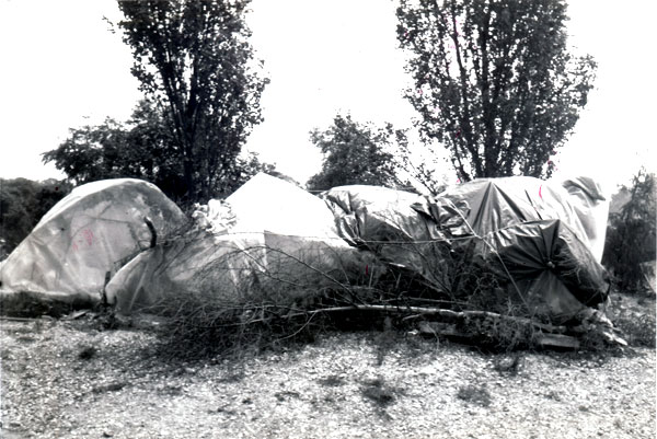 Ulla Moltved: Greenham Common July 1983.
