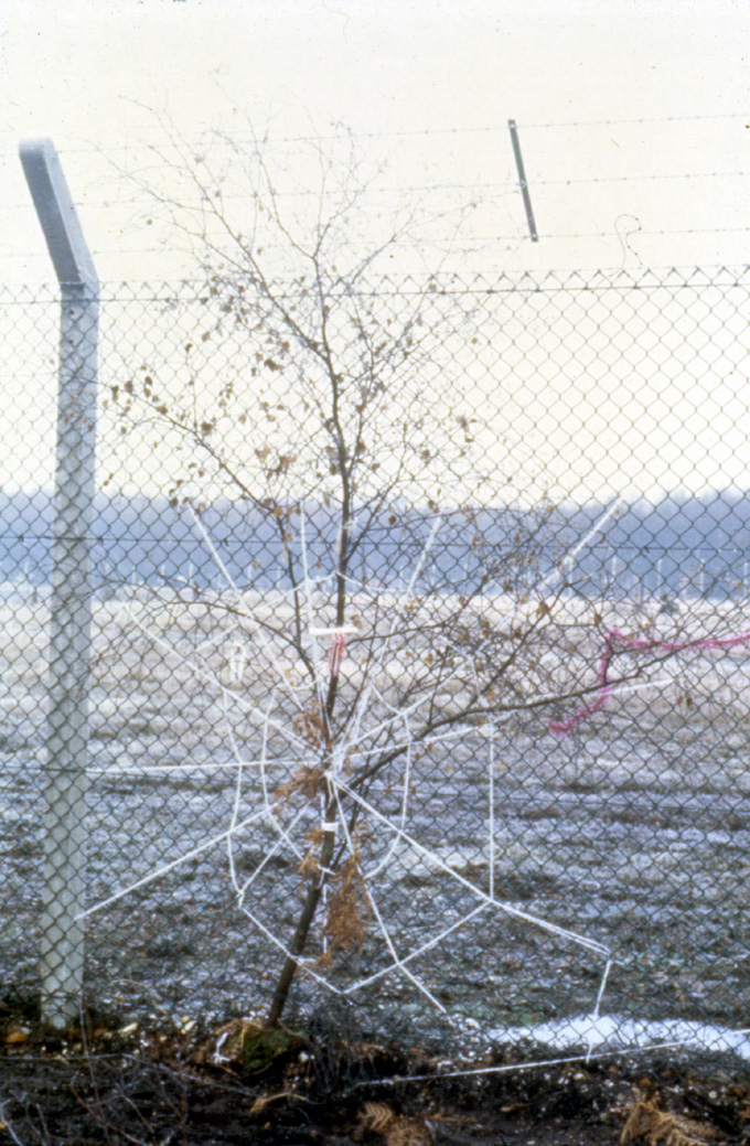 Sigrid M&oslash;ller: Greenham Common Pictures